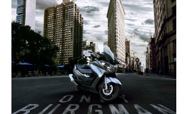 SUZUKI Roller Original Spare Parts